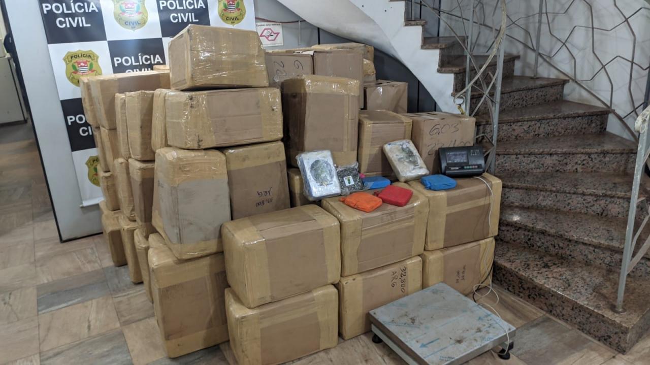 Foto 7 de 13 — DISE apreende mais de 2 toneladas de maconha em Araraquara e dois são presos